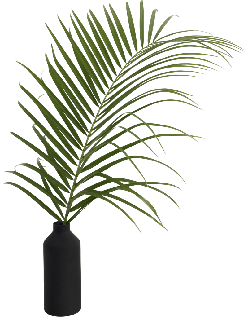 Plant Leaf in Vase